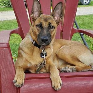 Meet your Posher, Eric